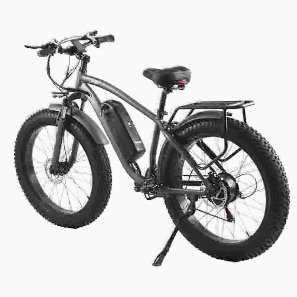 2024 ebikesin valmistaja