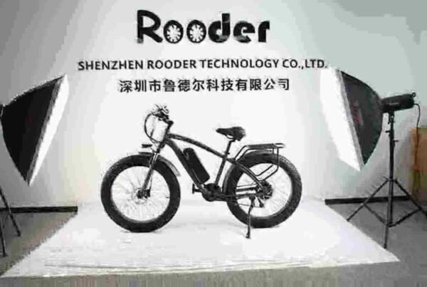 250w sähköpyörä Kiinan valmistaja