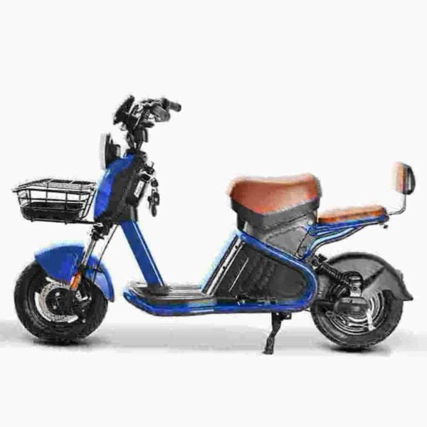 3000W Citycoco Scooter valmistaja