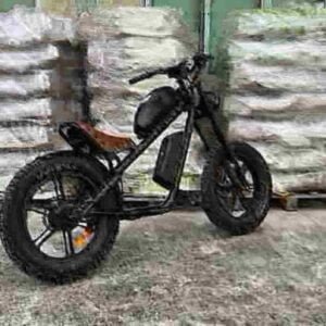 750 Watt Fat Tire Ebike valmistaja