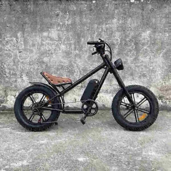 Paras Electric Fat Bike -pyörän valmistaja