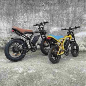 Paras Fat Ebikes -valmistaja