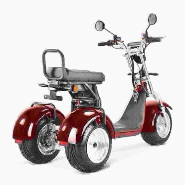 Citycoco Electric Scooter 1500w valmistaja