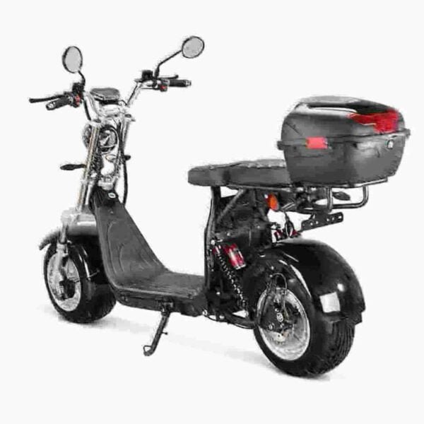 Citycoco Golf Scooter valmistaja