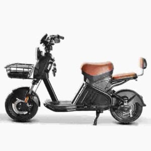 Citycoco Scooter Electricon valmistaja