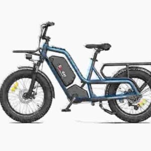 Coco Electric Bike Price valmistaja