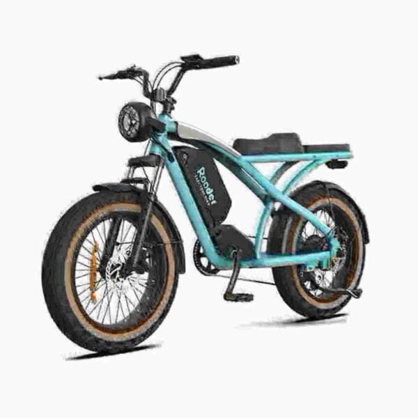 E Bike Cycle Hinta valmistaja