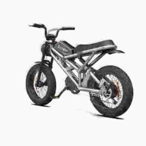 Ebike 1000w valmistaja