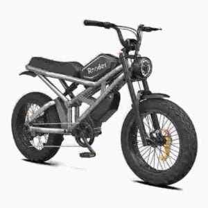 Ebikes valmistaja