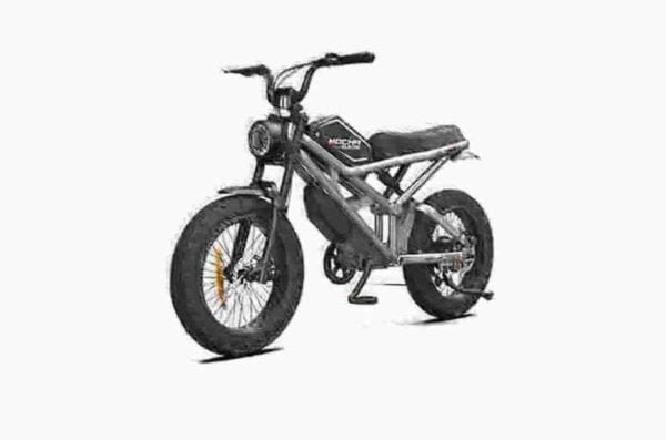 Electric Fat Tire Ebiken valmistaja