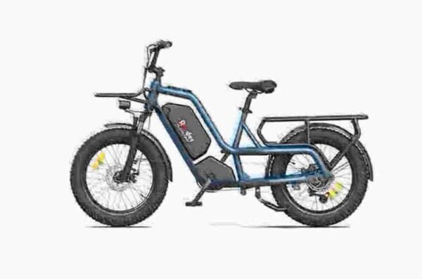 Electric Fat Tire Ebikesin valmistaja