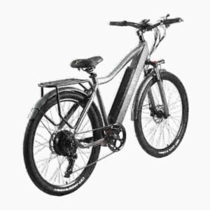 Fat Bike Ebike valmistaja