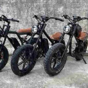 Fat Electric Cycle Hinta valmistaja