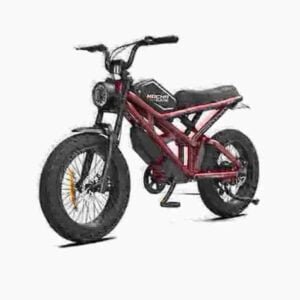 Fat Tire Ebike Myyntivalmistaja