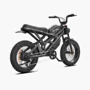 Parhaiksi arvioitu Fat Tire Ebikes -valmistaja