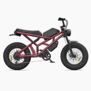 Wide Tire Electric Bike -pyörän valmistaja