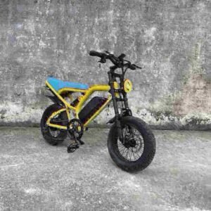 Wide Tire Electric Bike -pyörän valmistaja